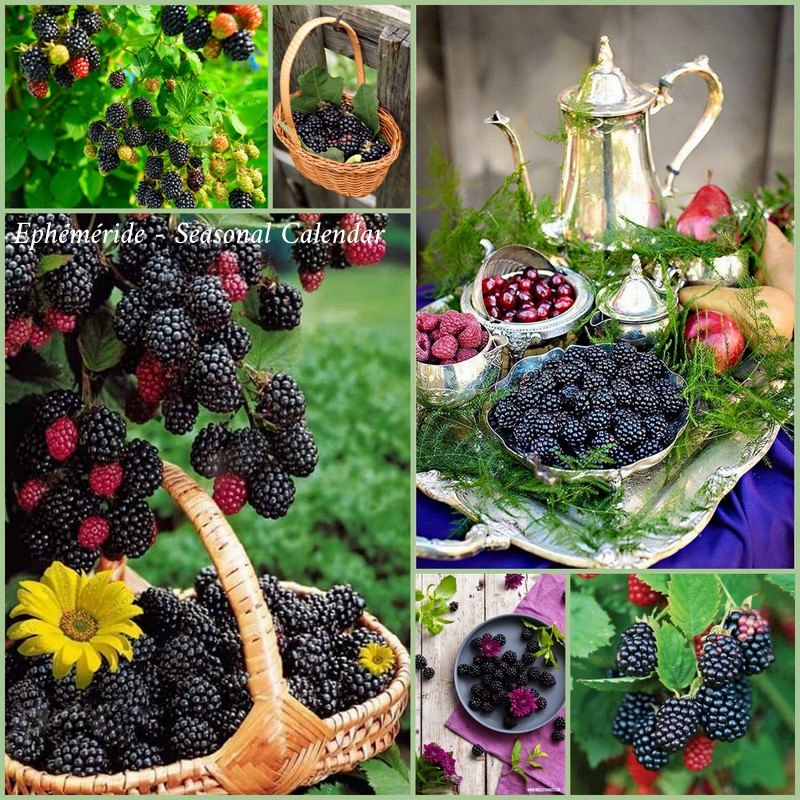 211672181_4379199418796787_5079017866594926956_n