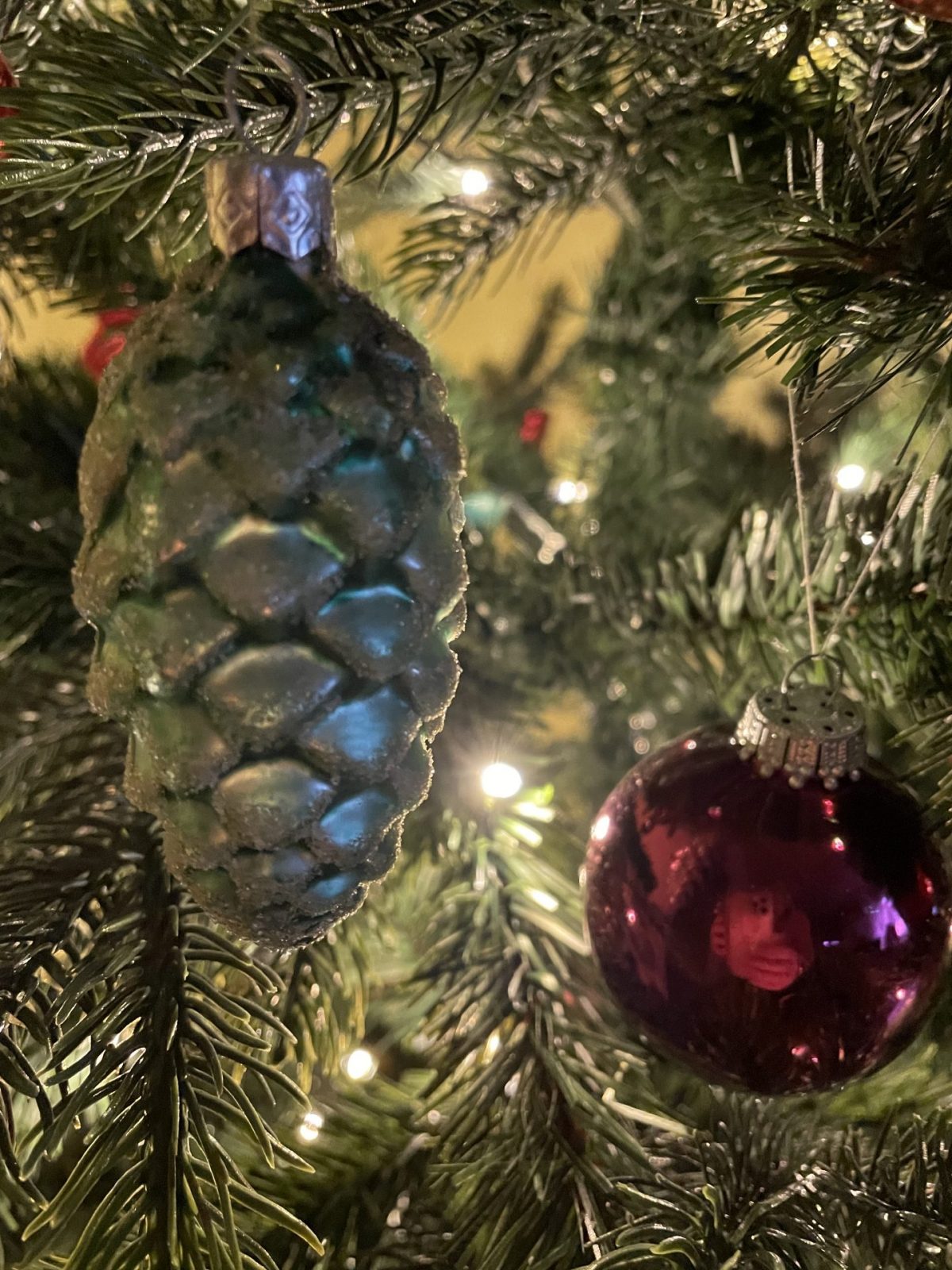 21303824-E7CF-4C97-8511-8531168A2F36