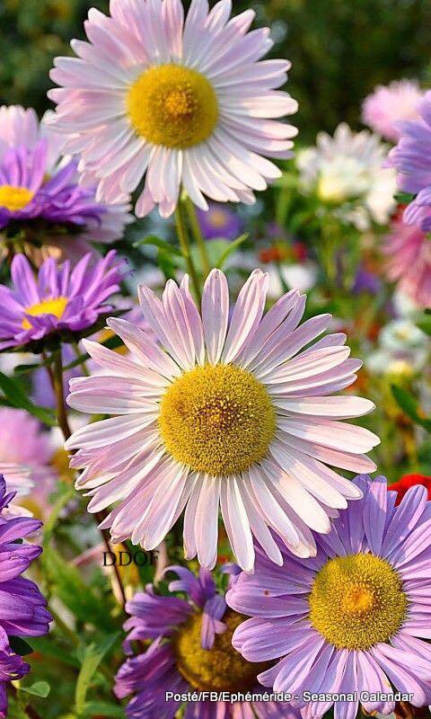 213078637_4378234742226588_7587201035526317238_n