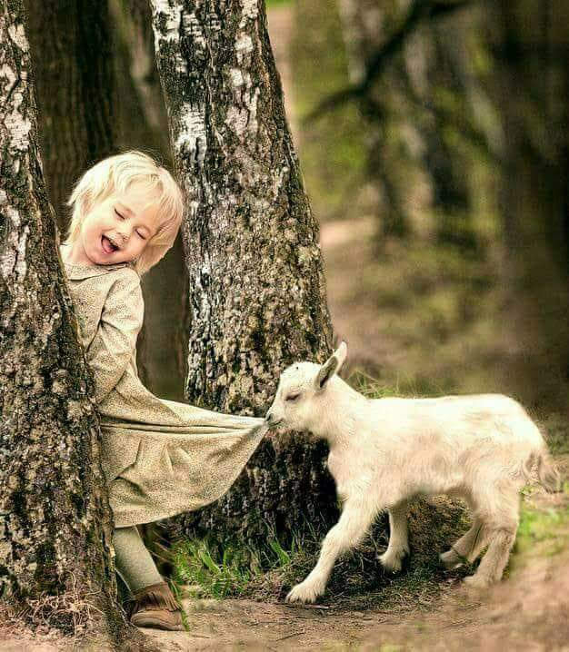 214771156_1041678756573271_6717639921845273641_n