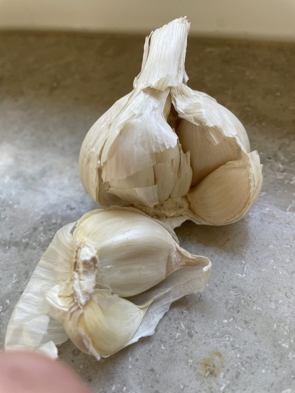 214E469C-DB40-40A7-B7CE-CDB628C62E59