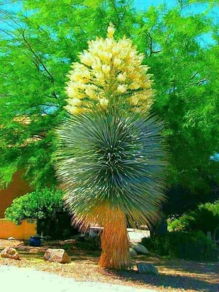 215485549_1262859244168379_9172761409001799359_n