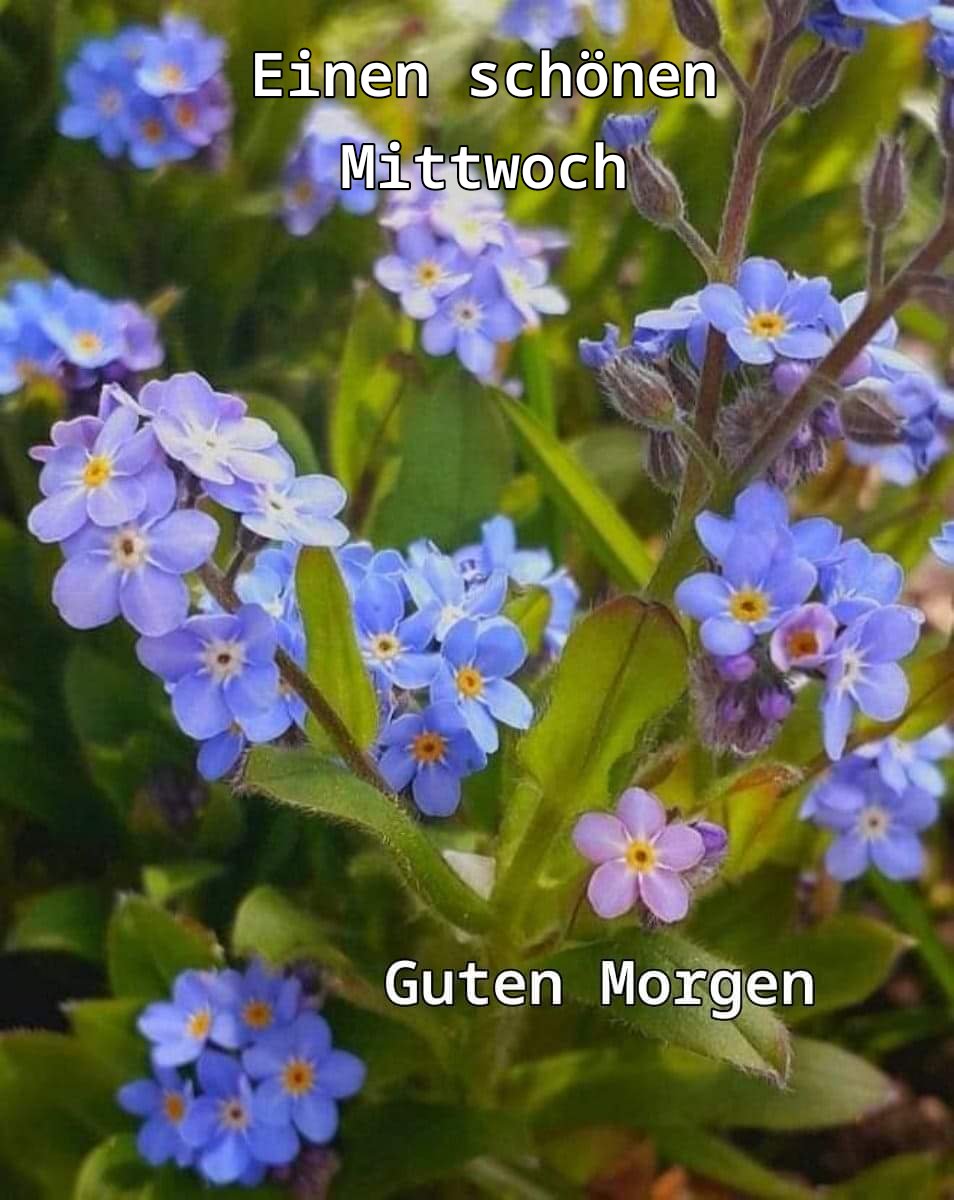 215578339_264388105447449_5898455694926082528_n (1)