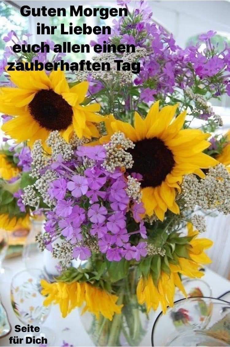 216710935_267072838512309_8261510137053097409_n (1)