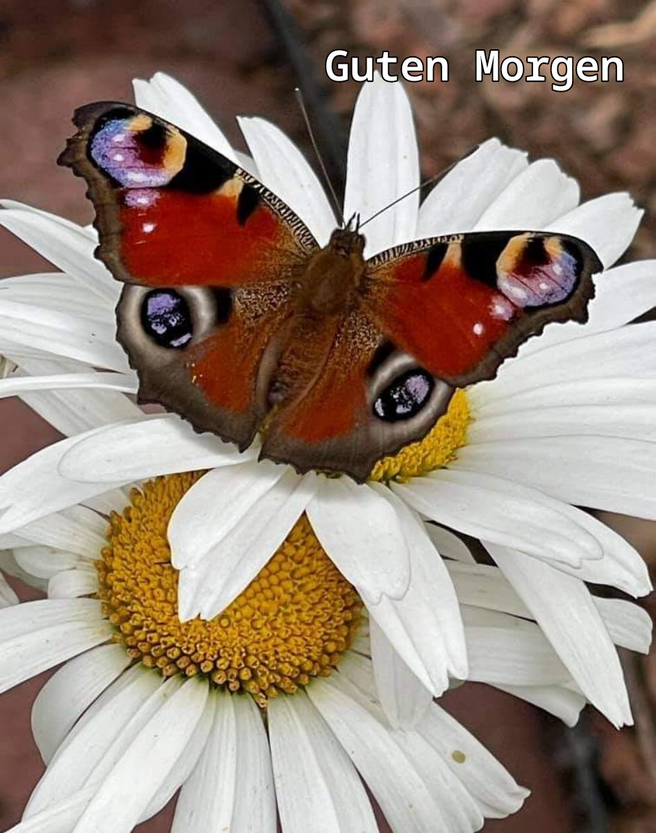 216887376_263766018842991_1339095526672612330_n