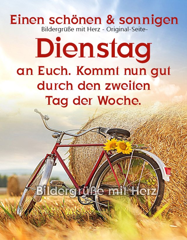 216930903_947698539133949_5247277353402971891_n (1)