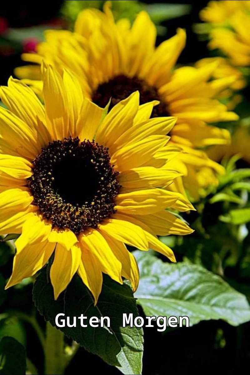 217046442_265728755313384_8480833583019851025_n (1)