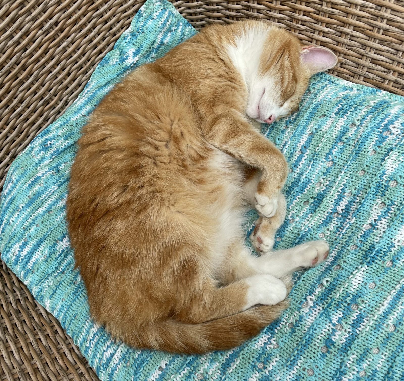 21732A7B-AE65-4113-8D7B-FA7AF598E8B3