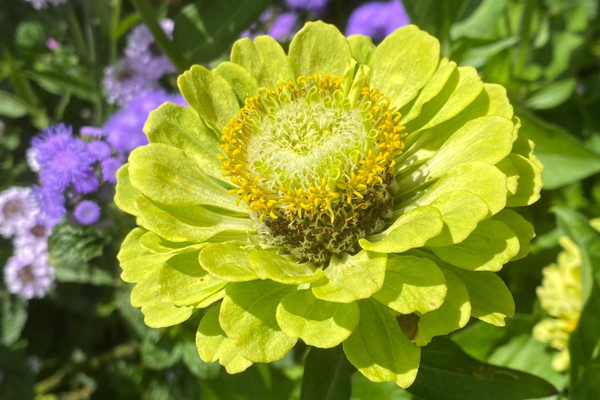 217617632_10159900930659258_3475127715819917649_n