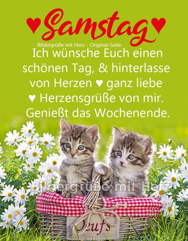 219124633_950168558886947_7342541924684971042_n