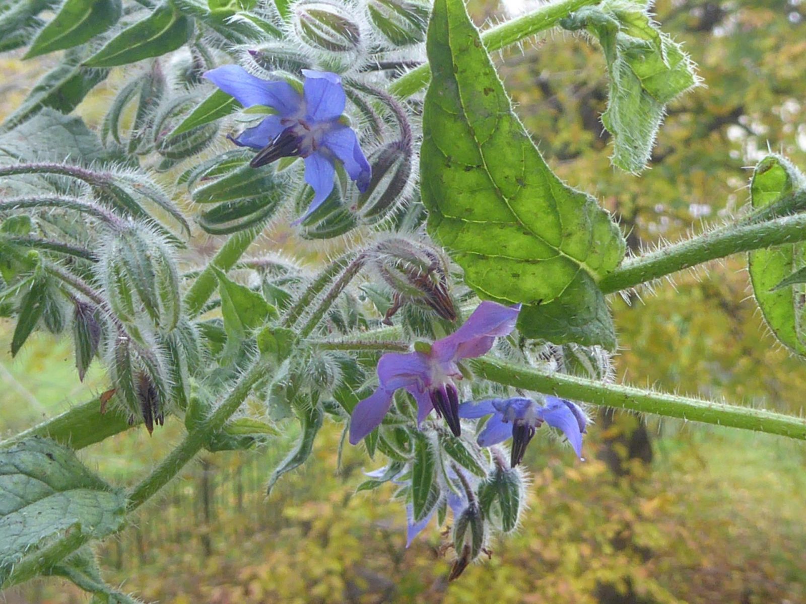 22.11.2022 Dienstag (30)