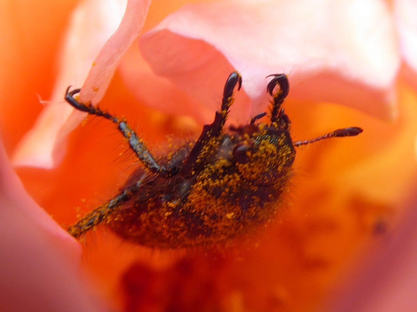 22.6.2021 Dienstag (126)