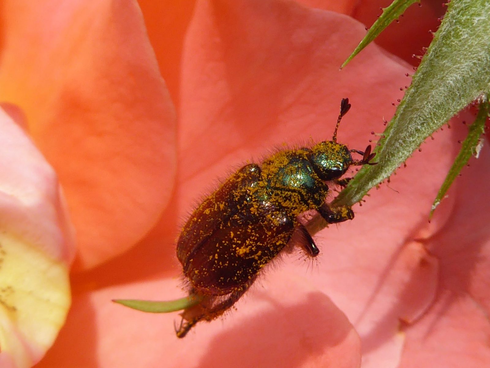 22.6.2021 Dienstag (141)