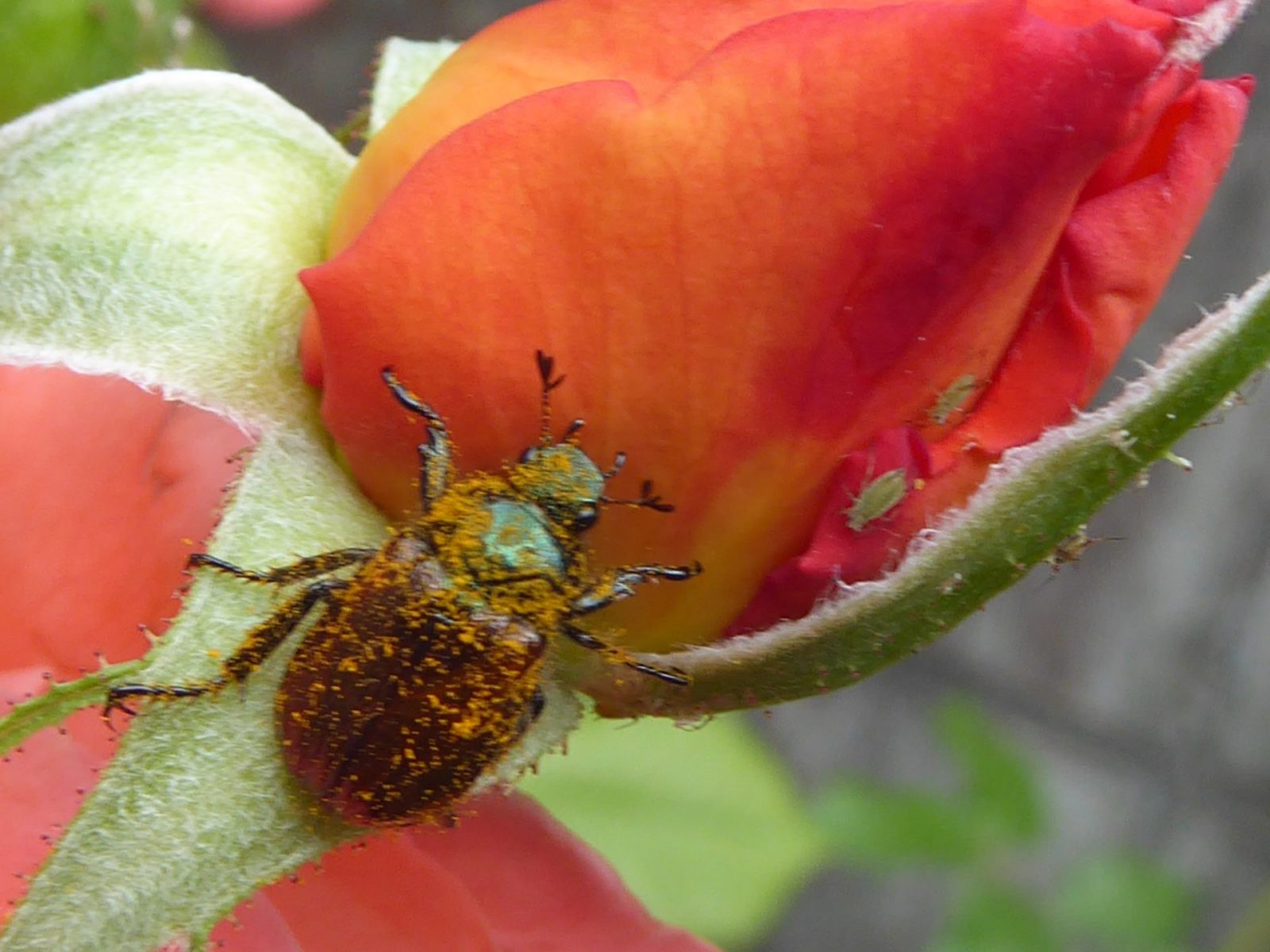 22.6.2021 Dienstag (151)