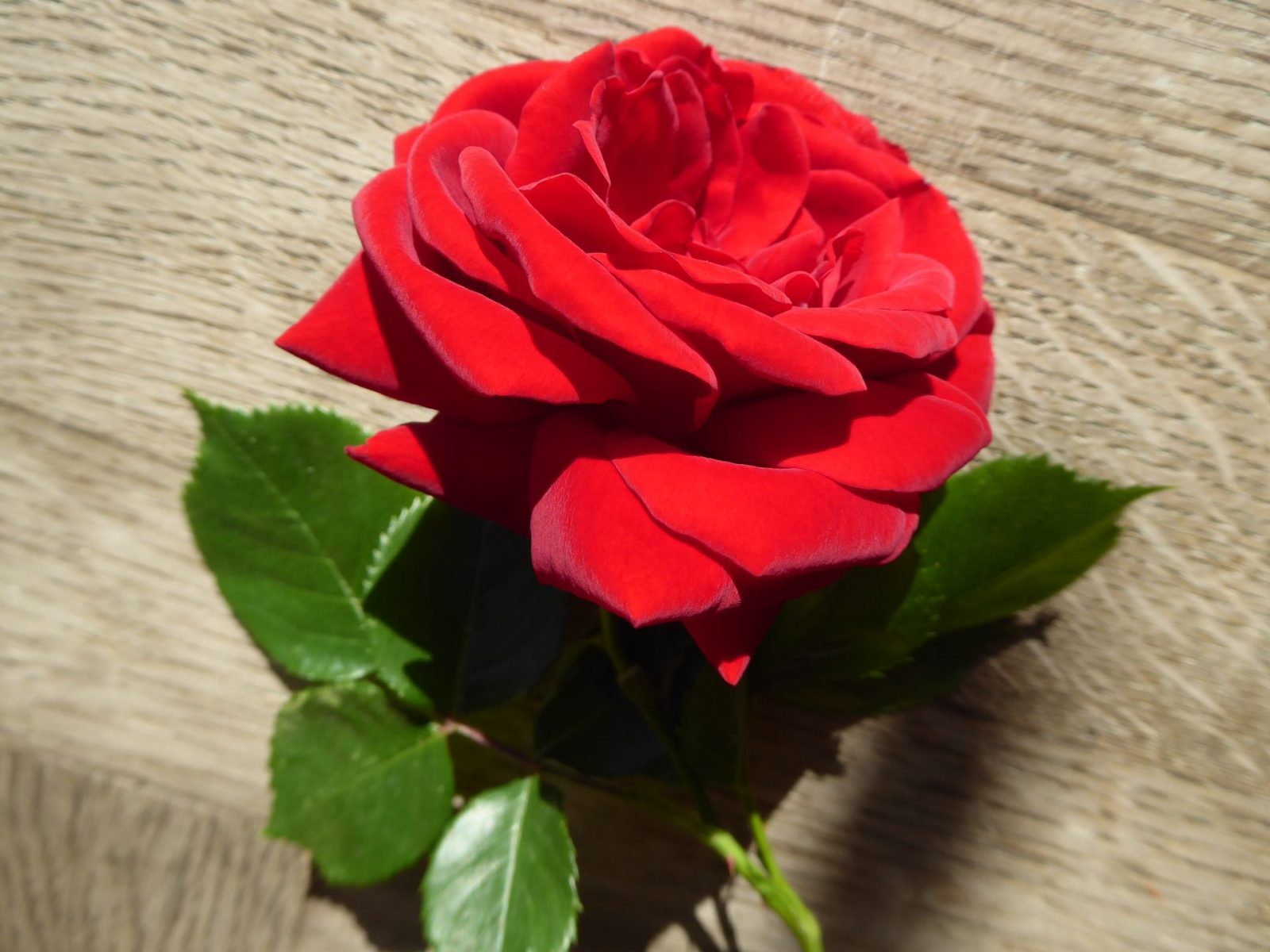 22.6.2021 Dienstag (3)