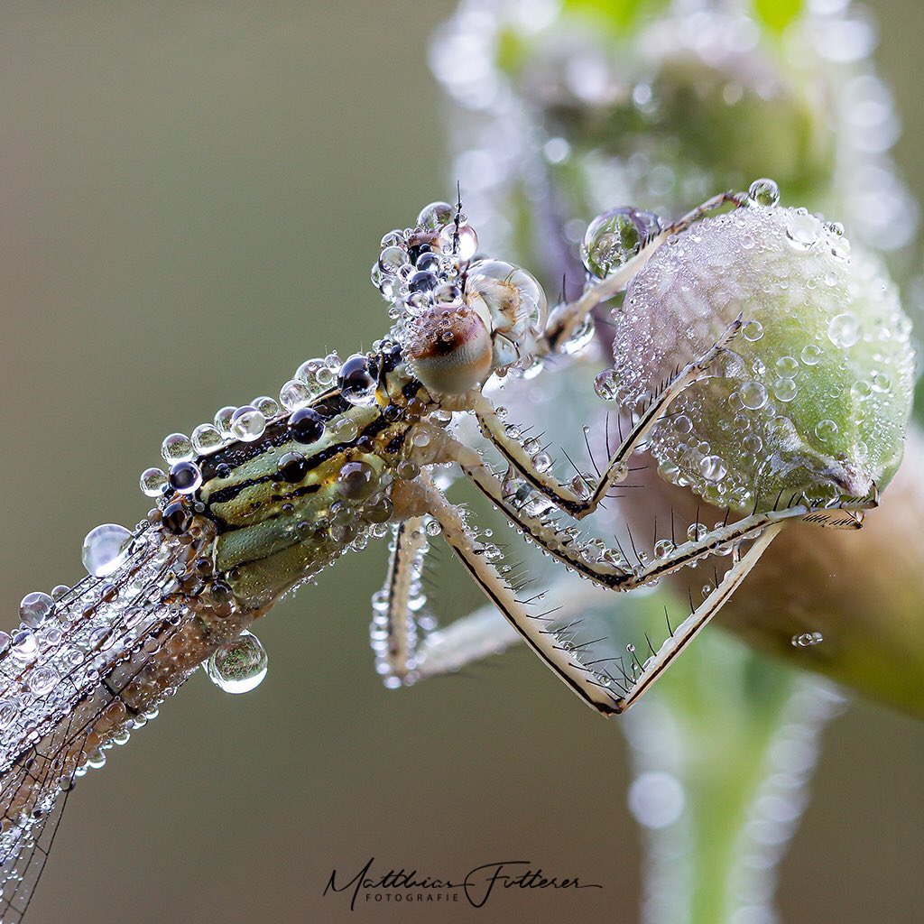 222743083_469955241108857_3636063437762912792_n