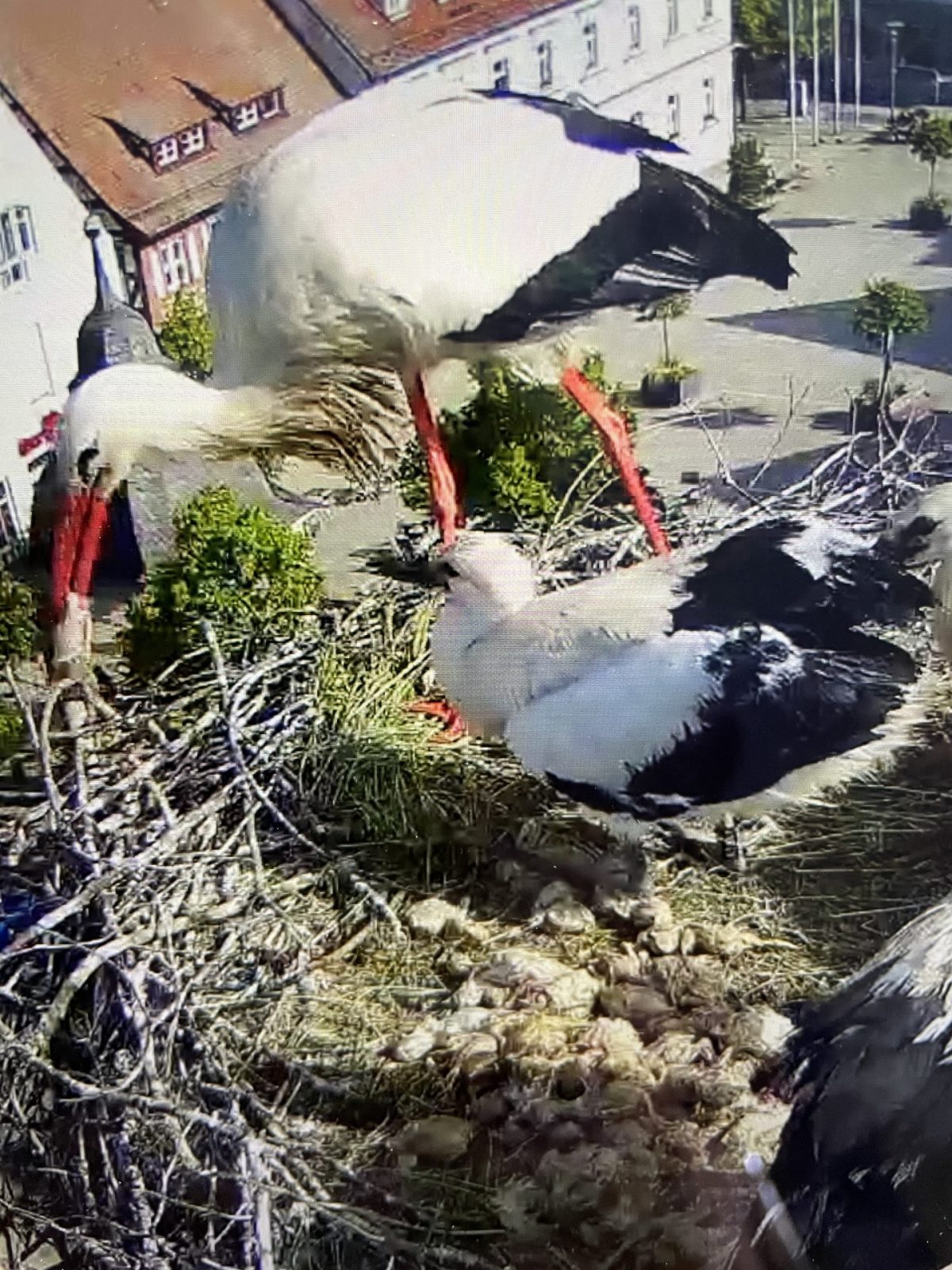 222A58C7-B1D1-4DC5-9843-6F82BCA688B0