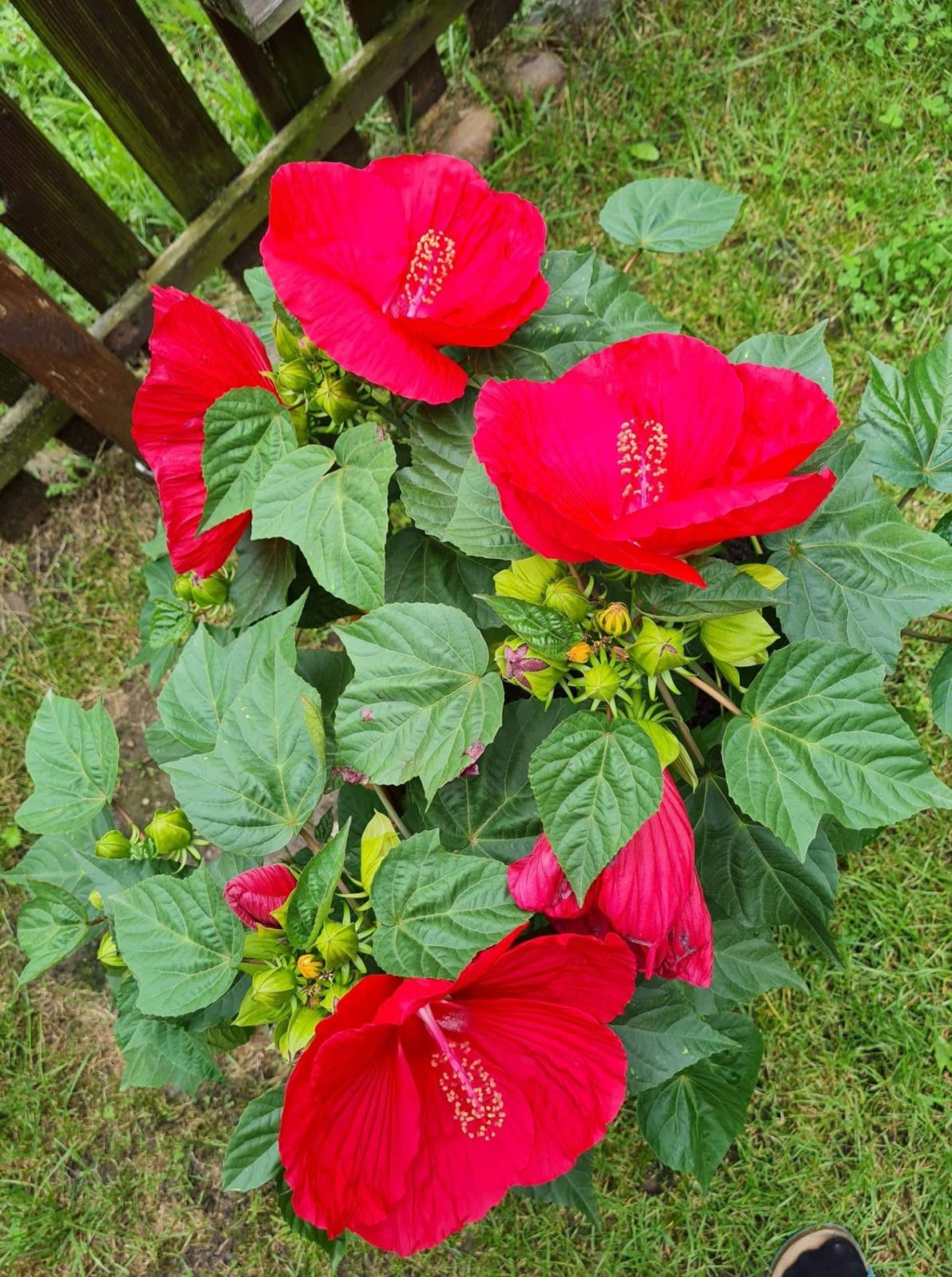 225667264_3831698943601054_9074310386221943794_n (1)