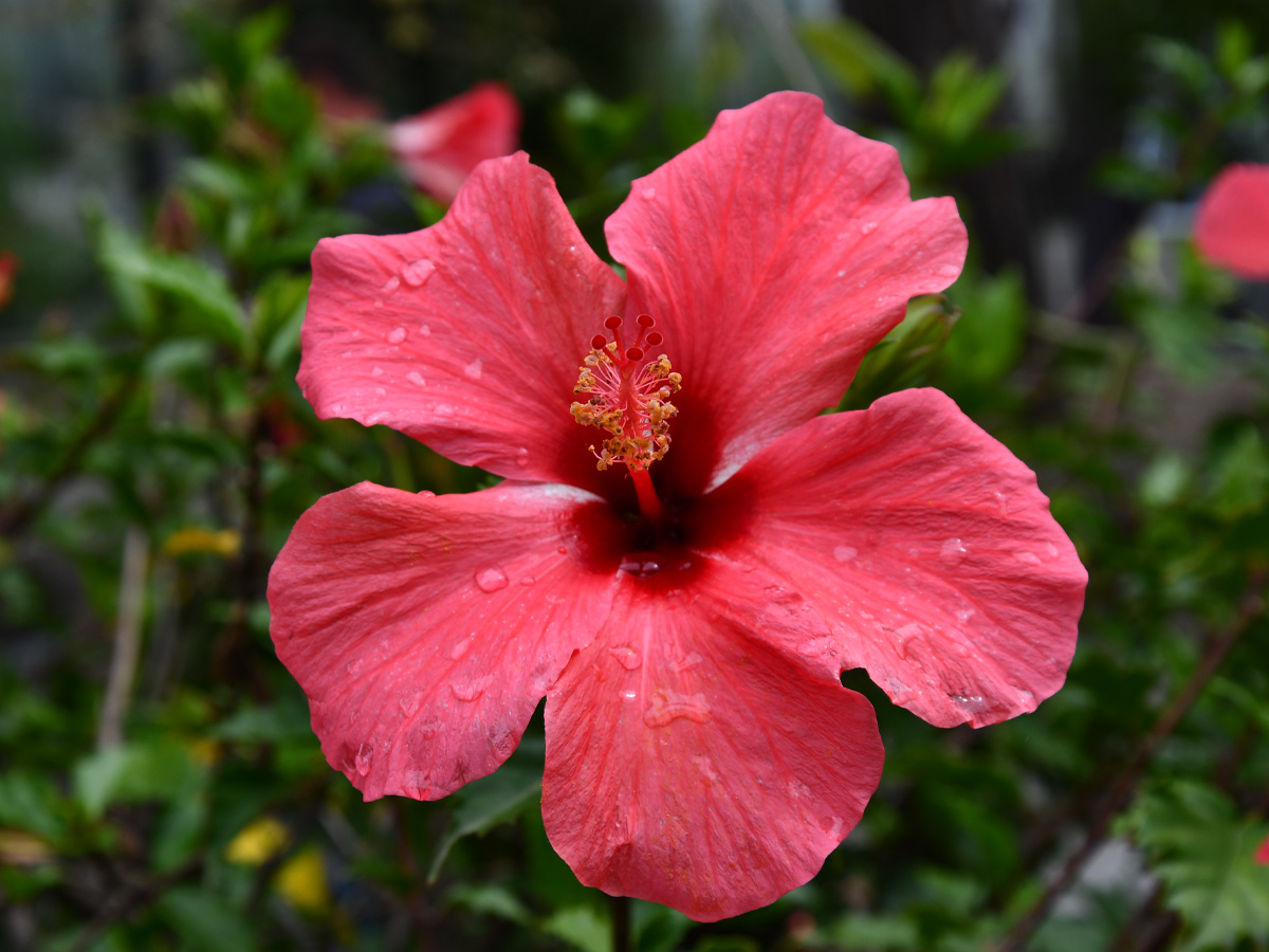 226163407_10159939089774258_2015566338104958834_n