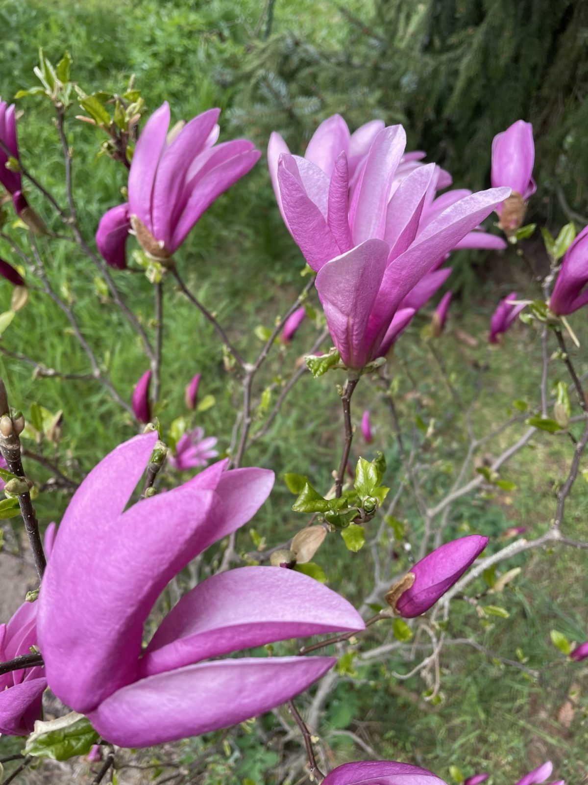 227AEF03-B10B-4D43-B221-0A8A3ACEFB1F