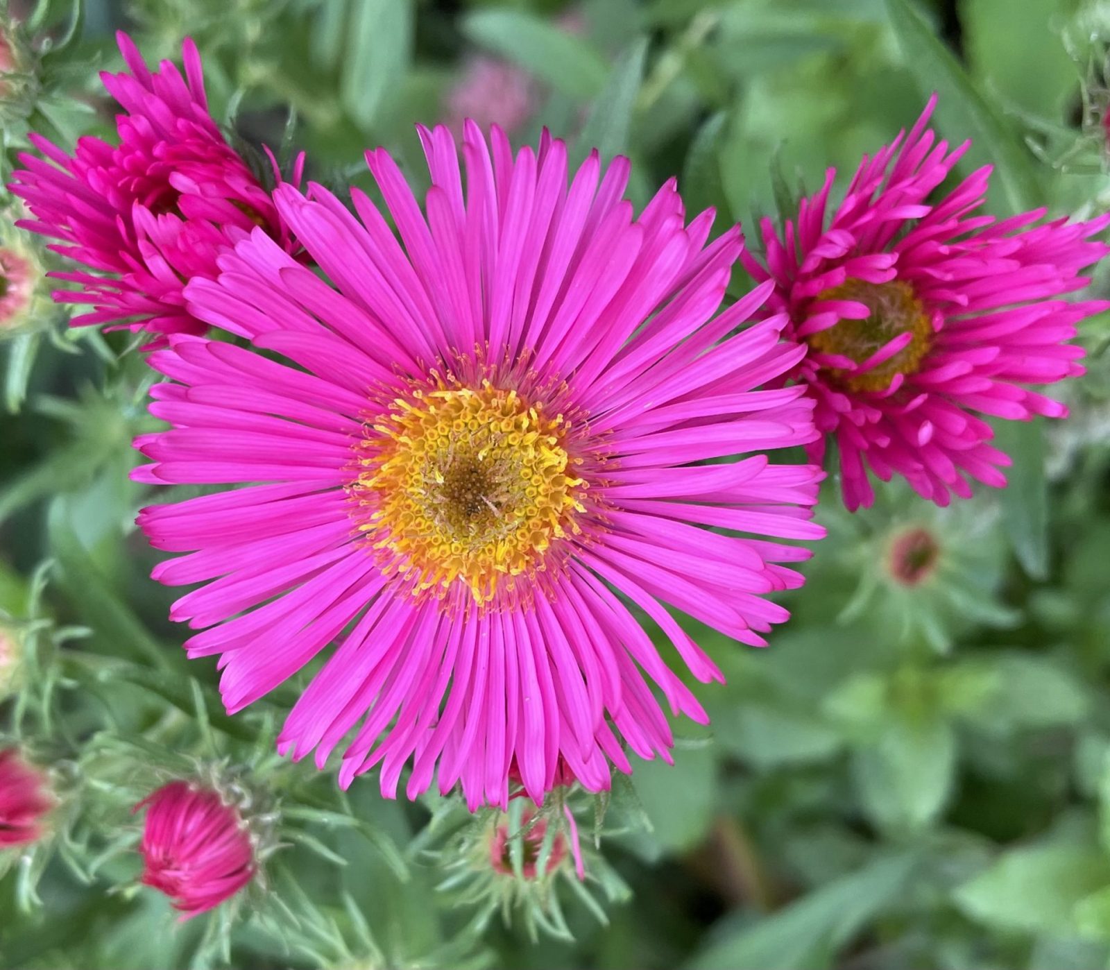 227FC9CA-C3F2-4676-8420-27AD073869C0