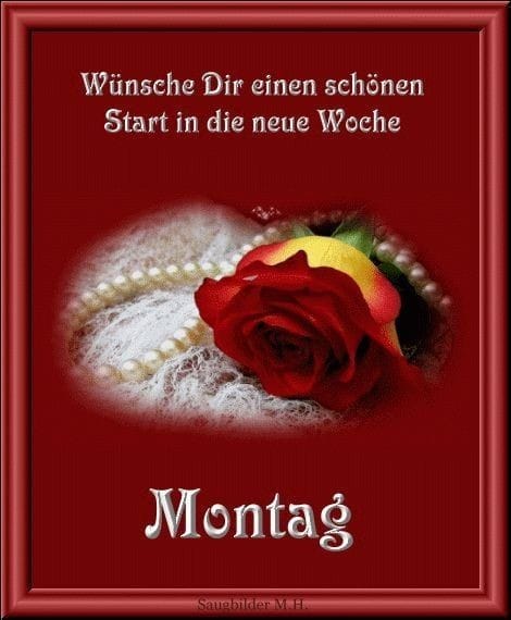 229625717_1010074306432710_5420131568594455344_n