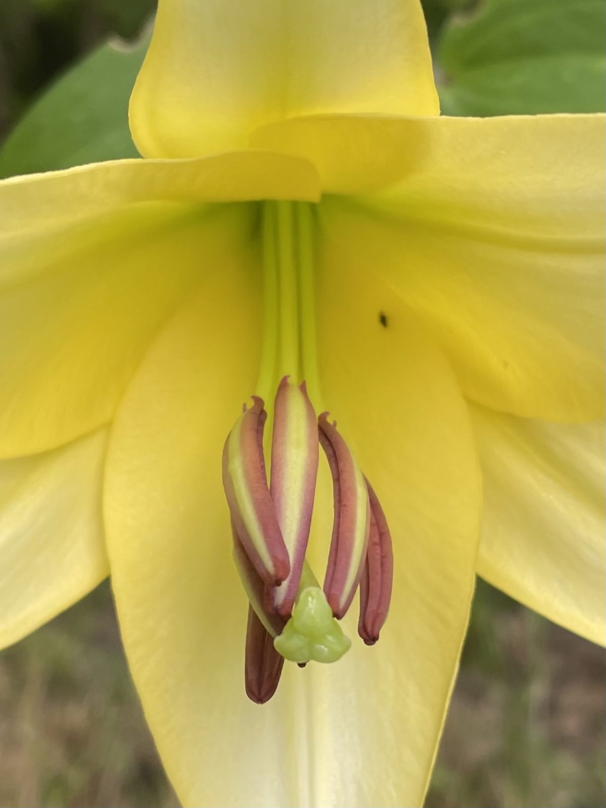 22DB61A5-15BE-4DE2-B1F4-B8C466AE5F45