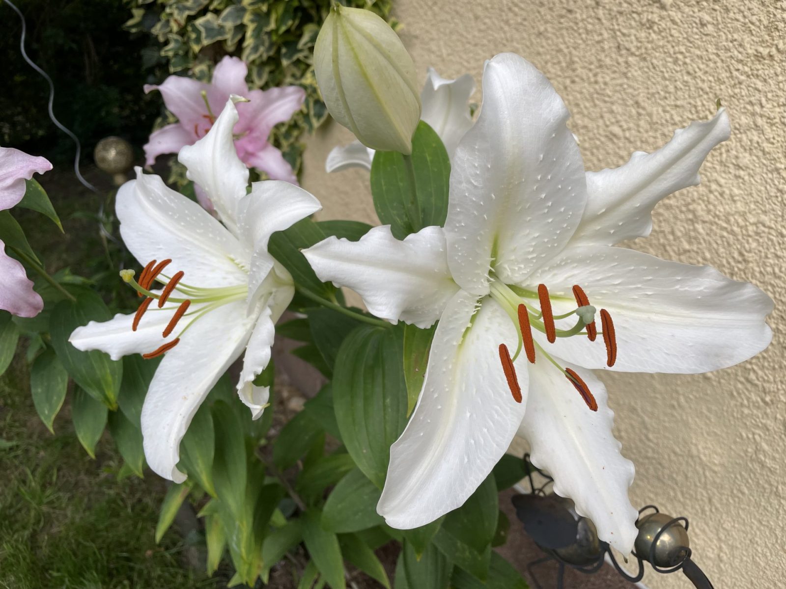 22F2AB2C-0E97-4574-9A08-02378567ECD1