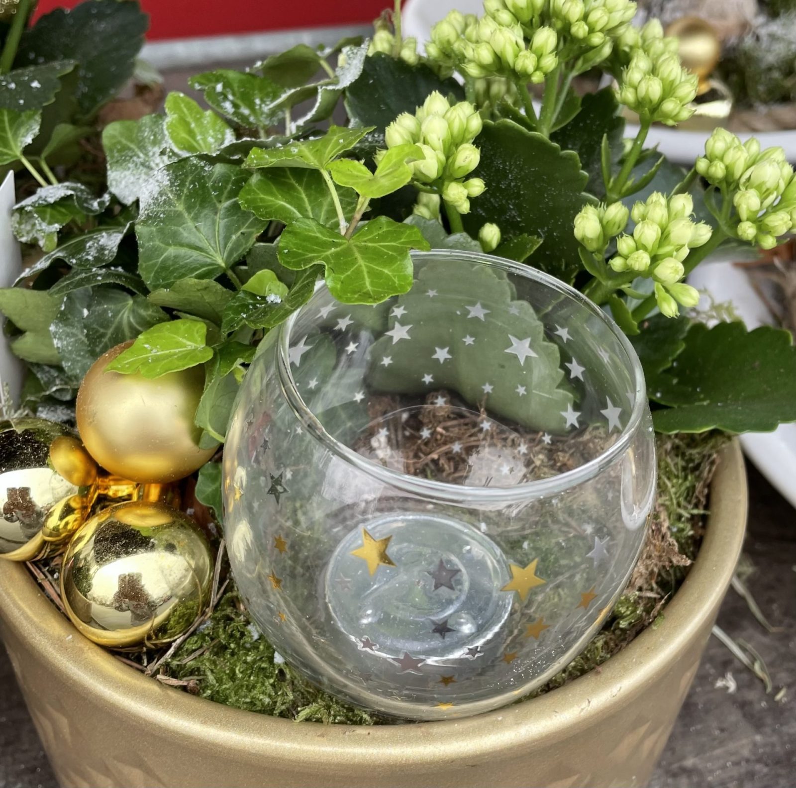 22FEBEB9-8827-4F94-BC39-8A9613128463