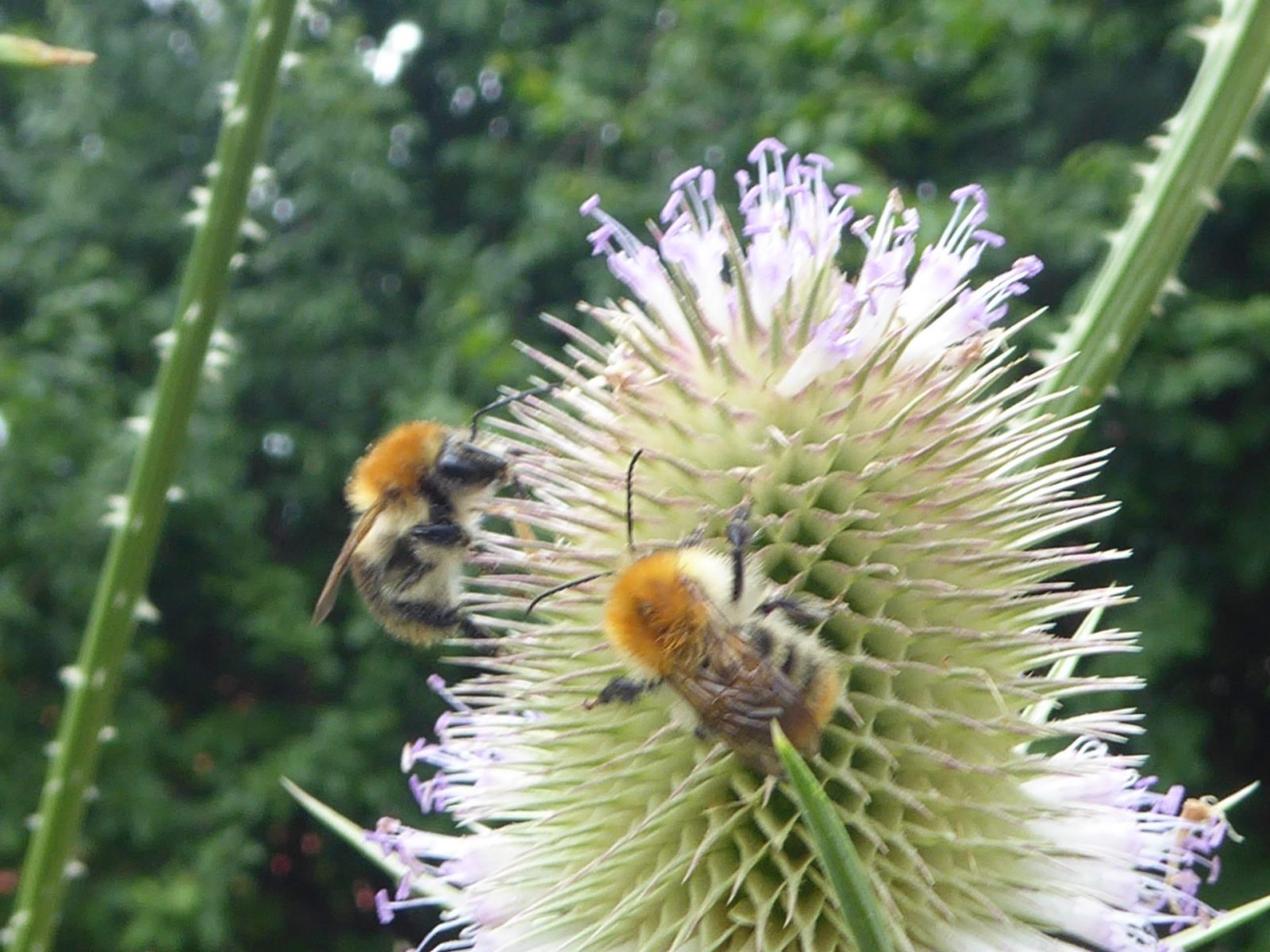 23.7.2922 Samstag (57)