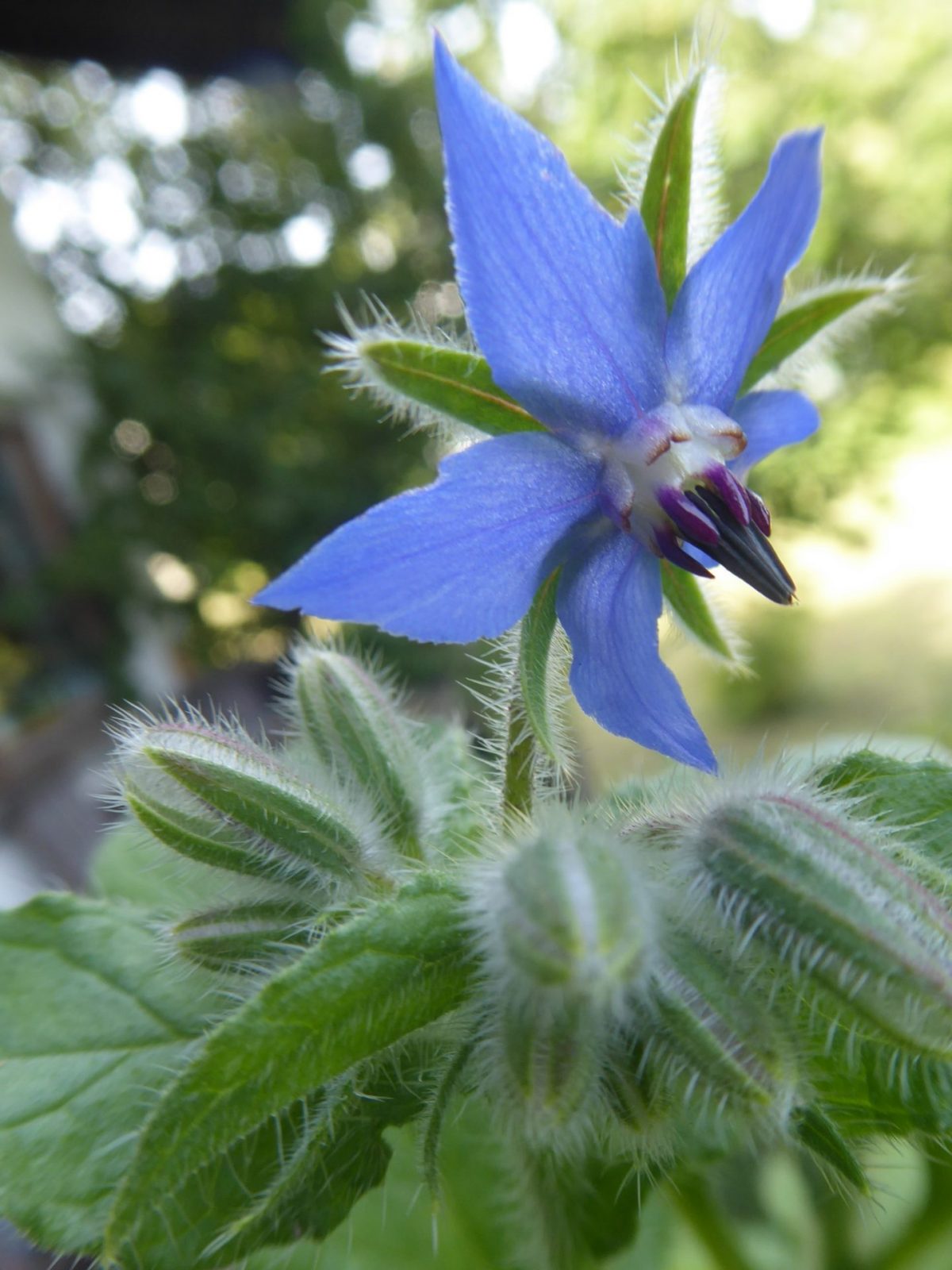 23.9.2022 lächeln (7)