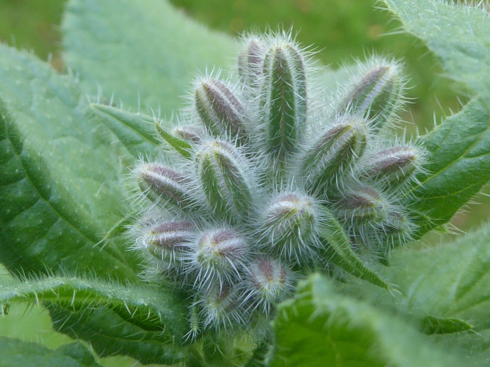 23.9.2022 lächeln (8)