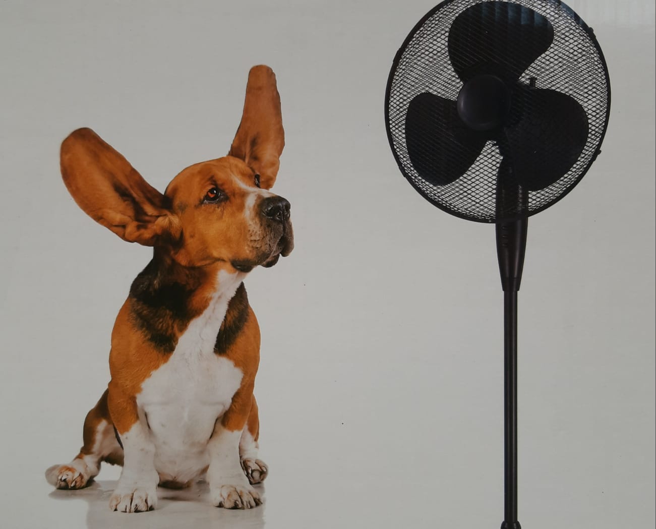 230E05C7-2F9D-4B02-9E82-941C0CB104DF