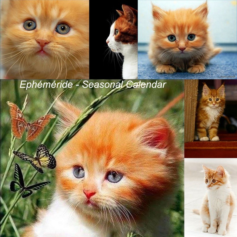 232262760_4469779166405478_905882206911813093_n