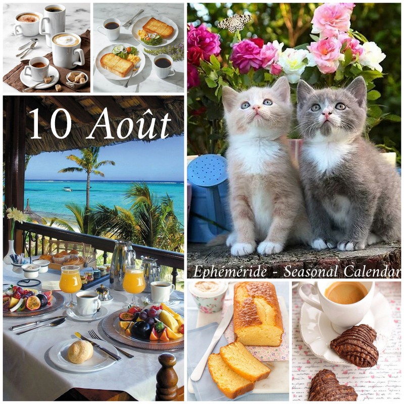 234843439_4485212008195527_5770788425726404272_n