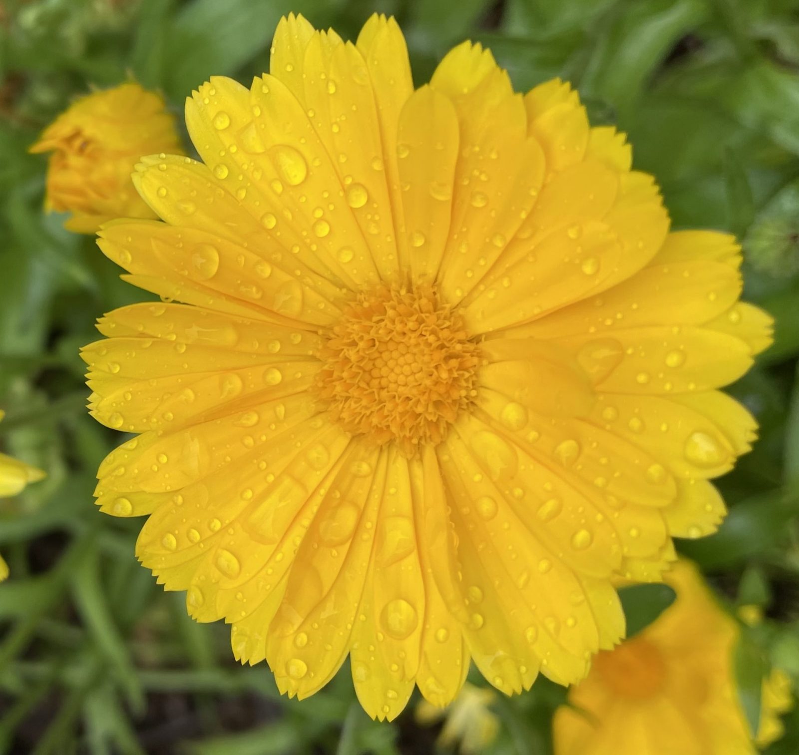 2352FADD-F0D7-4846-874E-640EAB2A31B5