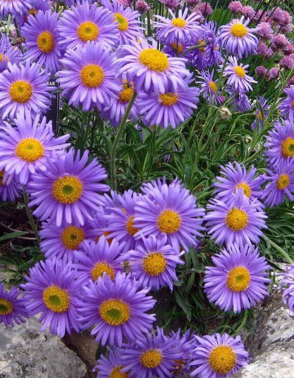 235810319_2977761899128274_1136291110606997603_n