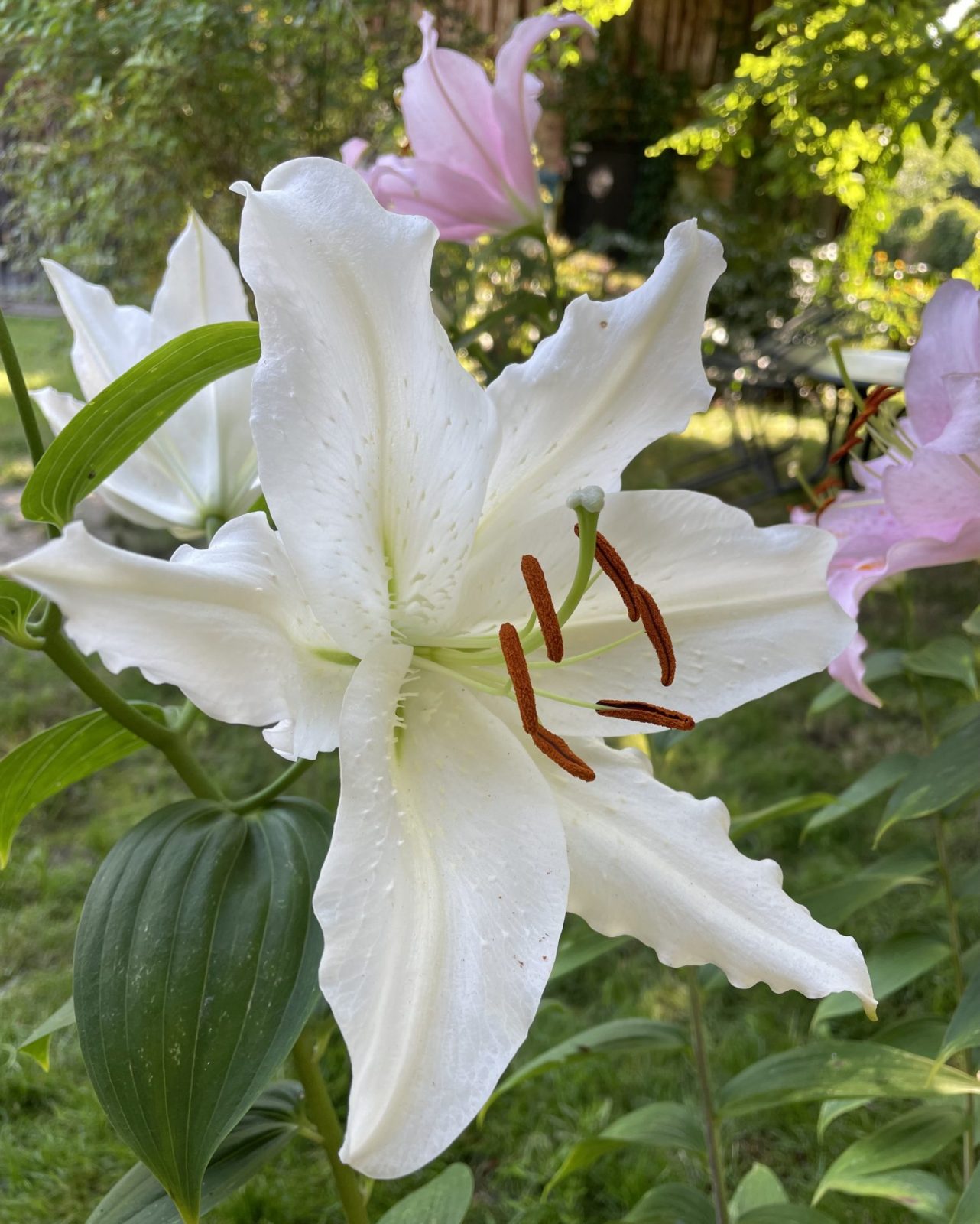 23675B24-16FC-43BA-8A86-6372ED5406E1