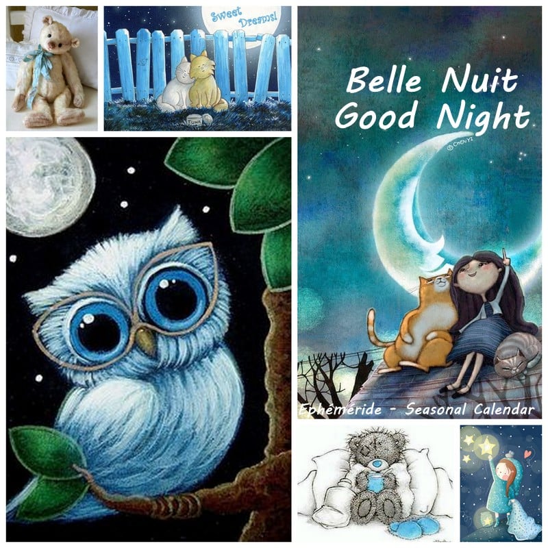 236872177_4506405702742824_2967311779324357779_n