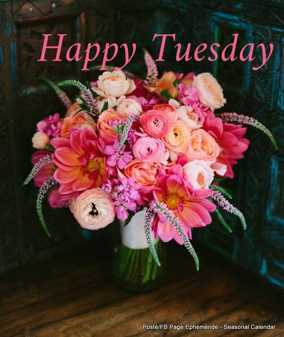 237095520_4528184910564903_8863033004147765030_n