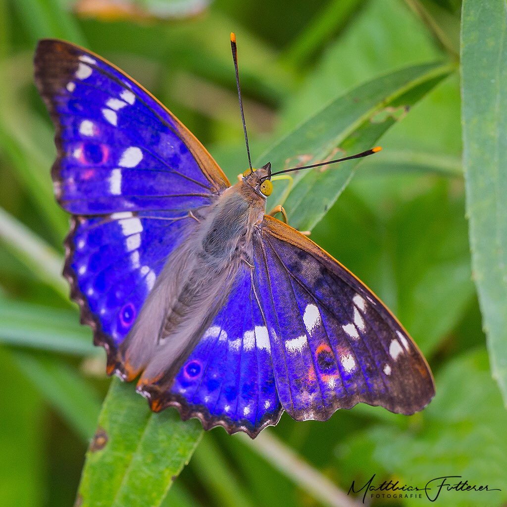 238808286_490904089013972_4424239669573532302_n