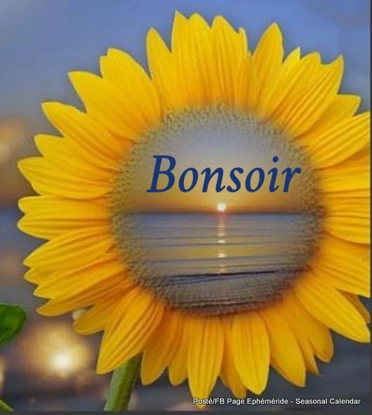 238963434_4527546900628704_8916156196495277403_n