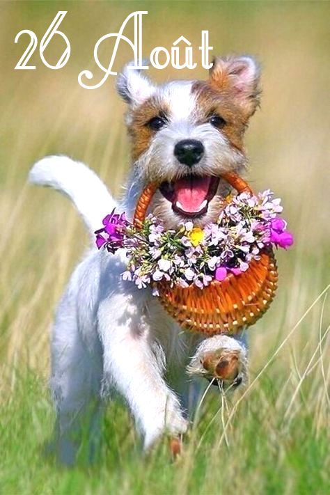 239449352_4534365093280218_2118683852137804089_n