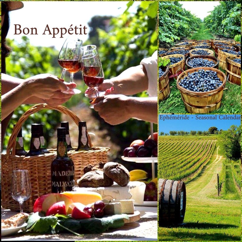 239452197_4523679864348741_6393368491442861419_n