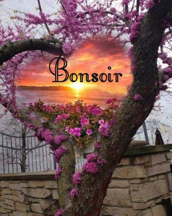 239480933_4521323161251078_3608403917783672518_n