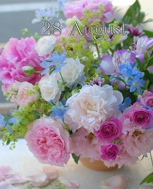 239626674_2989424127962051_4984208180044606483_n (2)