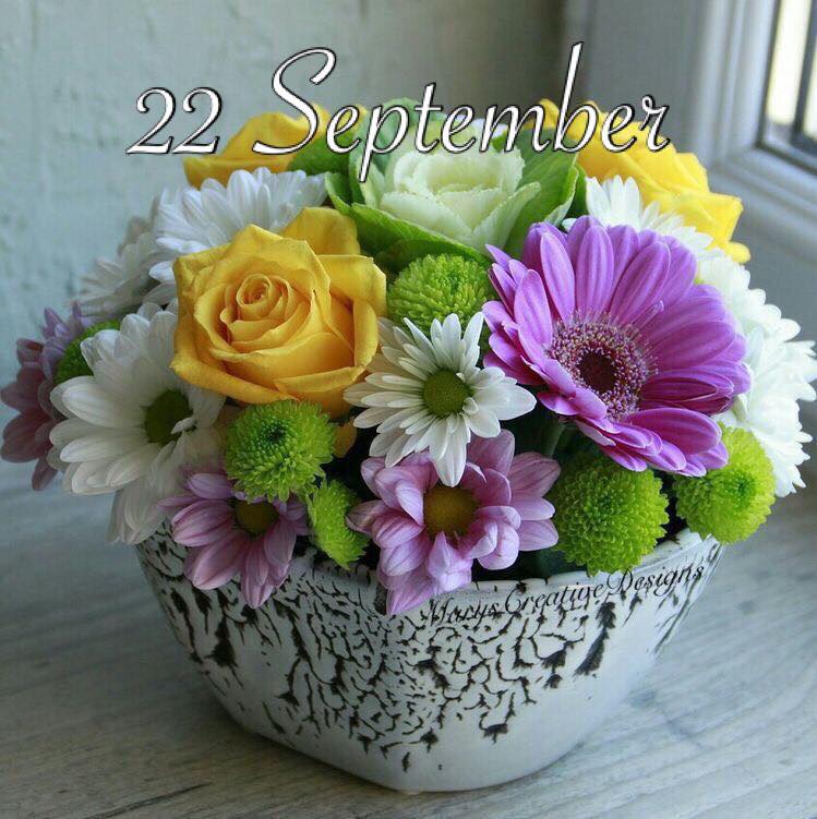 239903415_3008576182713512_5186109897645690543_n