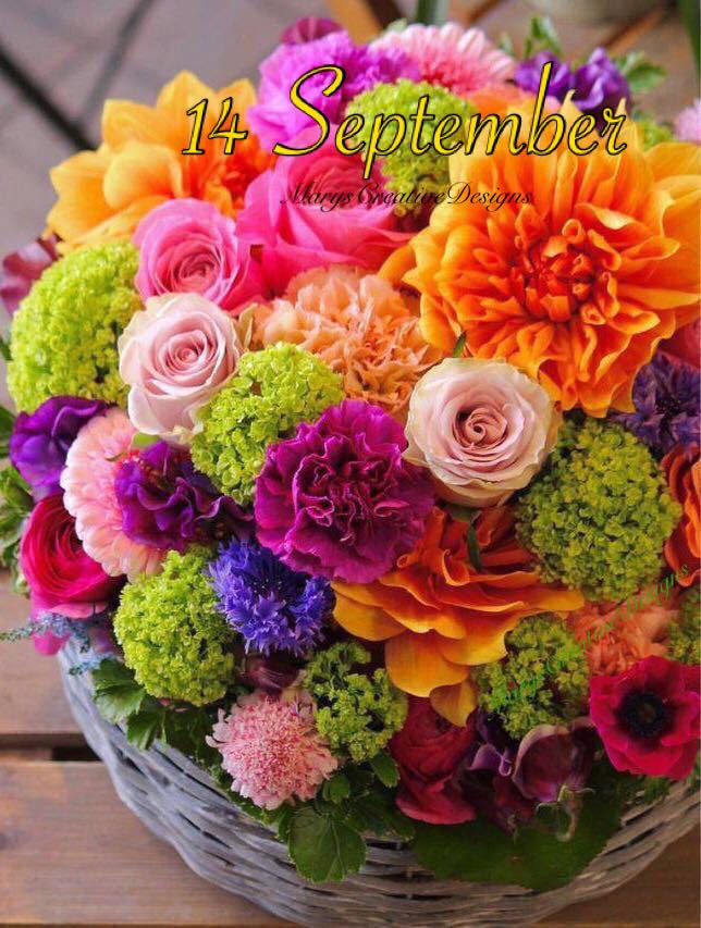 239907888_3002411393329991_5844689264962288409_n (1)