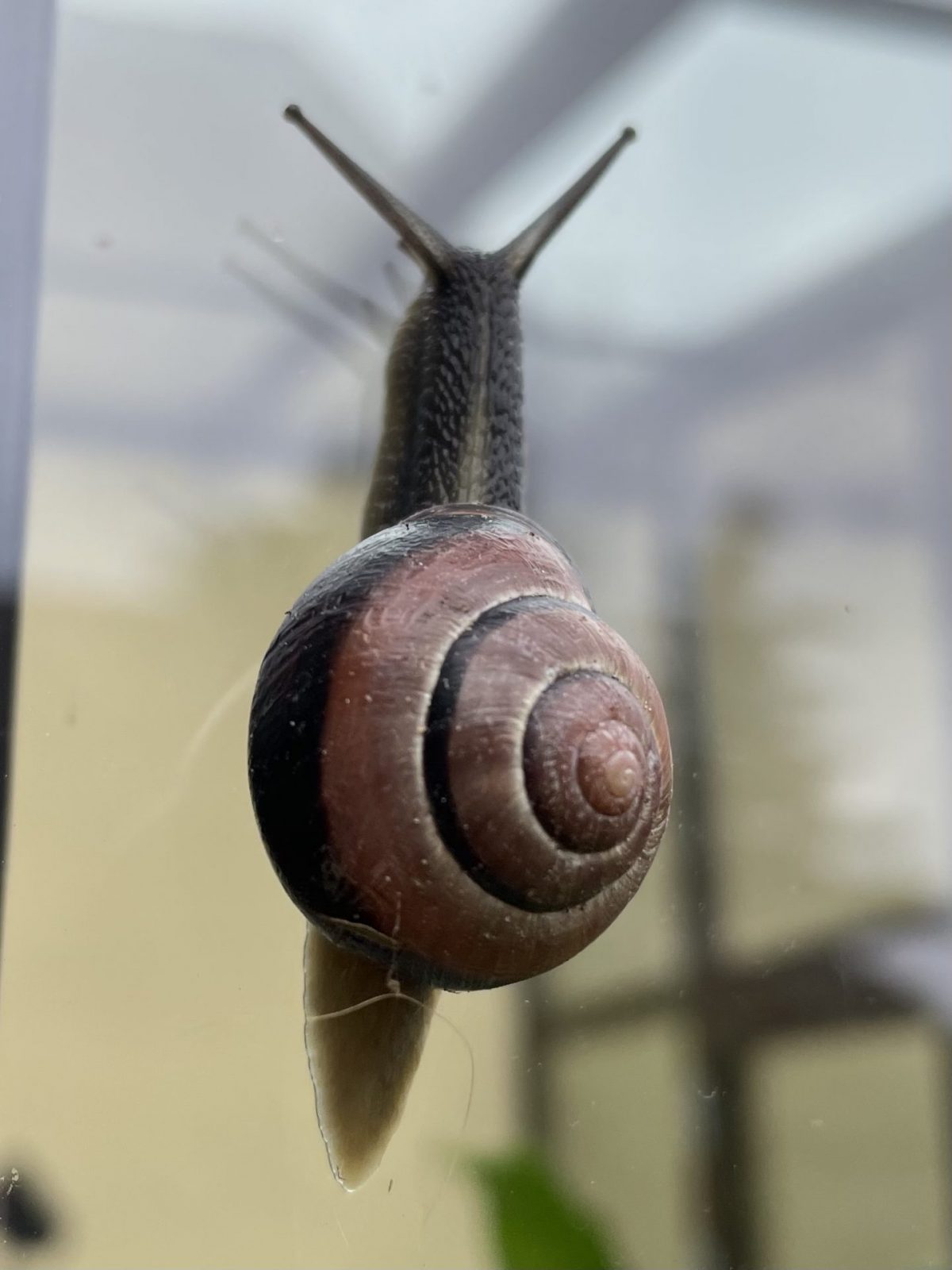 23CF71C3-A80E-48AF-BBC8-35A4B96FCDDC