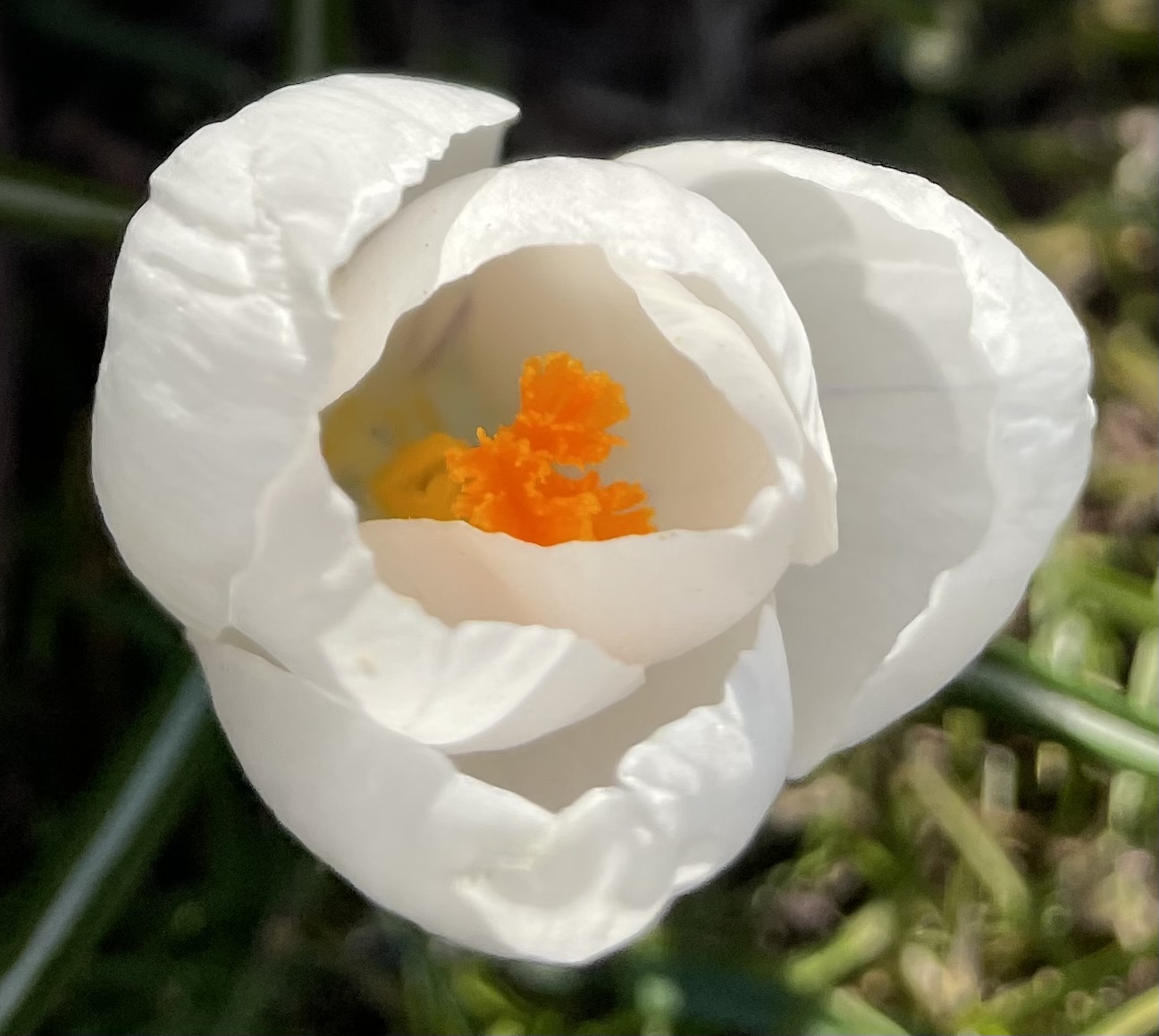 23EDA9D2-C9E7-4490-8E3C-1F7F37B362CB